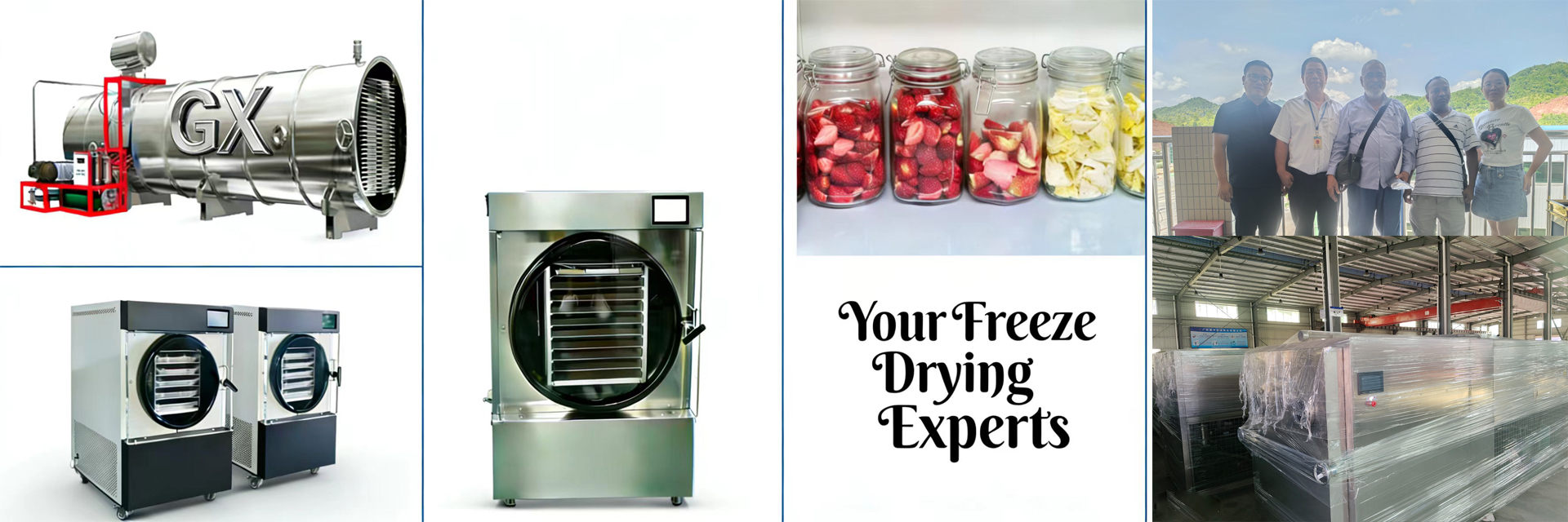 جودة مجفف تجميد منزلي مصنع