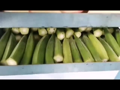 مجفف التجميد الفراغية للطراز المنزلي