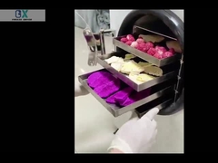 المنزلي مجفف التجميد المختبر مجفف التجميد آلة الفراغ