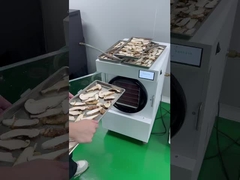 الفواكه المجففة