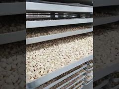 شاهد: مصمم للقدرة على التحمل: عرض معالجة مجفف التجميد الصناعي منخفض الصيانة