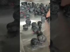 شاهد: التجفيف الدقيق باستخدام المجفف الصناعي للمكونات عالية القيمة بكميات كبيرة