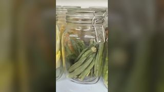 مجفف تجميد منزلي نضارة لمدة 25 عامًا