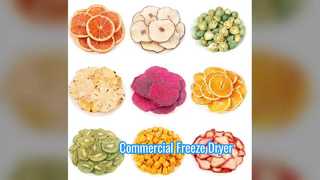 مجفف التجميد الصناعي 100 كجم على نطاق تجاري