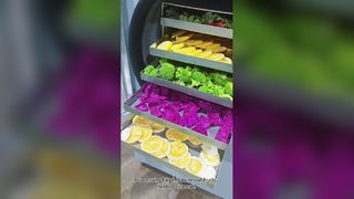 مجفف التجميد المنزلي يحافظ على الطعام جيدًا