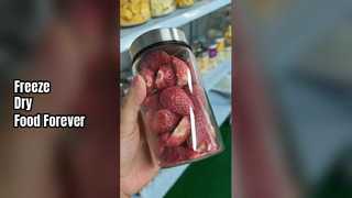 مجفف التجميد المنزلي يحافظ على الطعام طازجًا