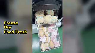 مجفف التجميد المنزلي يحافظ على Foo