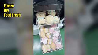 مجفف التجميد المنزلي يحافظ على نضارة الطعام