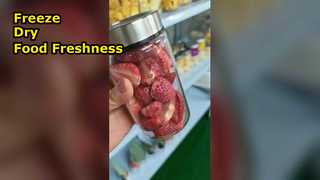 مجفف التجميد المنزلي يحافظ على الطعام ويزيد من التغذية