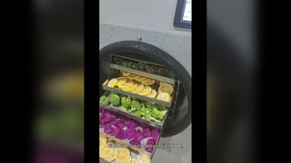 مجفف تجميد منزلي لتخزين الطعام على المدى الطويل