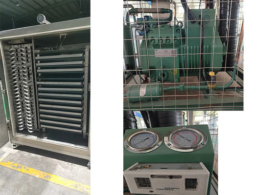 المكثف الصيدلانية مجفف التجميد الكهربائي