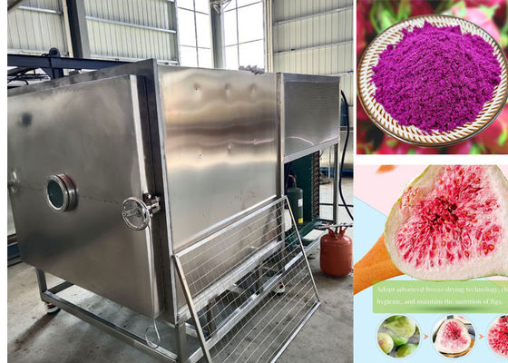 100kg / دفعة Stayfresh مجفف التجميد مع نظام تبريد الهواء