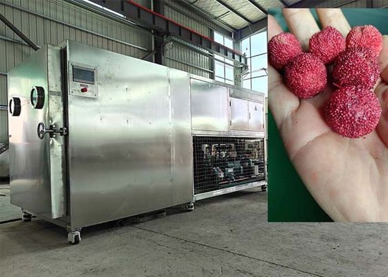 آلة تجفيف التجميد الفراغية التي يتم التحكم بها بواسطة PLC 30-35kg / دفعة