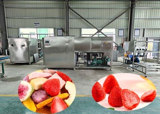 100 كجم لكل دفعة آلة تجفيف التجميد الصناعية مع 60dB