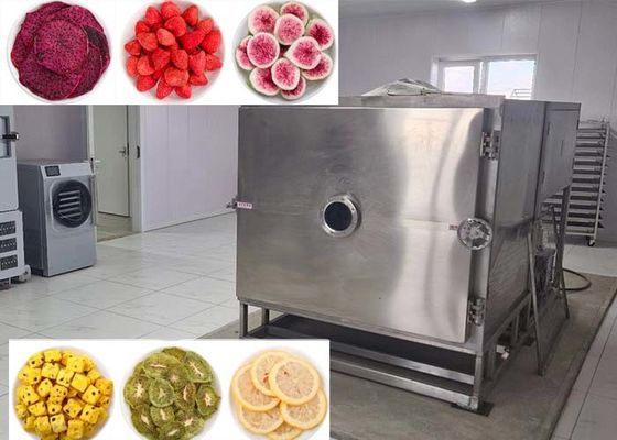 مجفف الخضروات التجمد الخيار المثالي لتجفيف الخضروات بكميات كبيرة