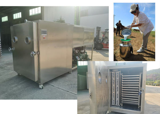 التصميم المدمج المجفف الغذائي للخضروات مع باوسي أو بيتزر