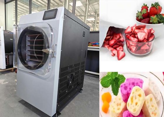 نظام الفراغ بيتزر مجفف التجميد المنزلي الصغير لصناعة الأدوية