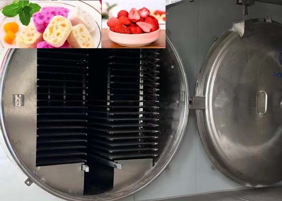 مجفف التجميد الصناعي ذو السعة العالية 1000 كجم / دفعة مستوى الفراغ 13Pa