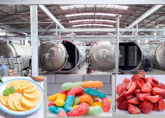 الصيدلانية 1000 كيلوغرام الفراغ مجفف الجفاف آلة التجفيف المتقدمة تكنولوجيا
