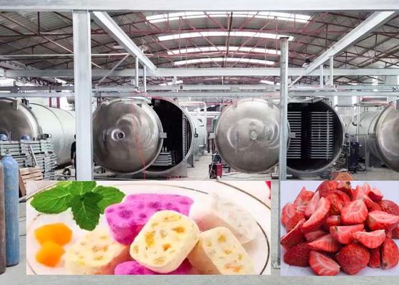 1000 كيلوغرام كبير مجفف التجميد لسرعة 20-24 ساعة نتائج التجفيف الدقيقة