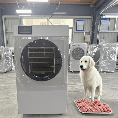 الدرجة الغذائية 6 كجم مجفف التجميد معدات الجفاف التجارية للفواكه والخضروات