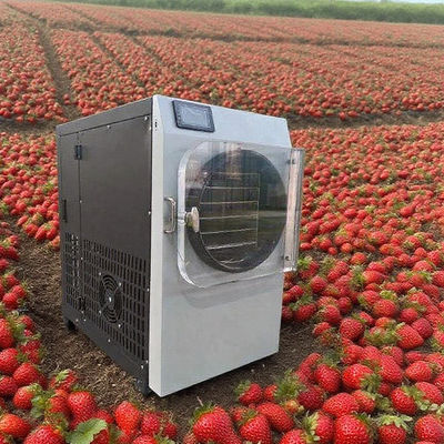 مجفف بالتجميد تجاري مع ستانلس ستيل 304 ومضخة بوش - مجفف تجميد عالي الكفاءة