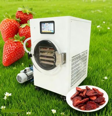 Home Freeze Dryer Lock in Freshness Save Money  Reduce Food Waste