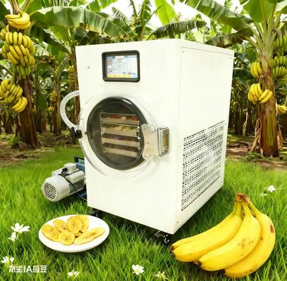 وجبات خفيفة صحية سهلة. الفواكه المجففة، الزبادي والمزيد مع حق الحصاد. لا إضافات، كل التحكم