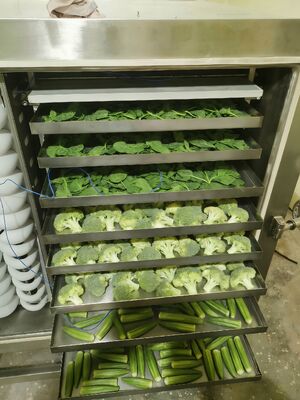 Electric Heating Industrial Freeze Dryer Offering Chamber Size 12700x2600x3300mm and Drying Time 20 to 24 Hours Ideal for Industrial