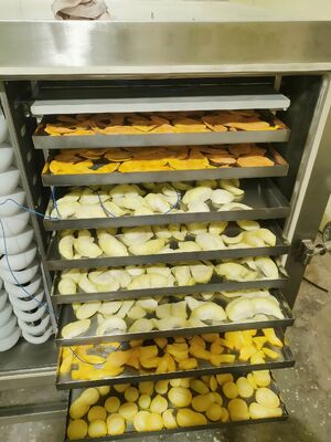 وحدة تبريد  مجفف بالتجميد، قدرة مصنفة 200 كيلو واط، معدات تجفيف بالتجميد للصناعات الدوائية والغذائية والكيميائية