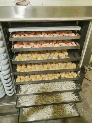 مجفف التجميد الصناعي التلقائي ذو سعة دفعة 1000 كجم مثالي للحفاظ على الأغذية الصيدلانية والمنتجات الكيميائية