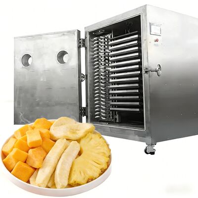 مجفف بالتجميد تجاري بسعة كبيرة 100 كجم 200 كجم