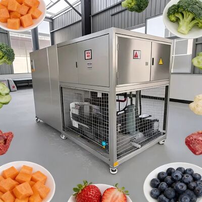3800 1550 1850 مم نظام تحكم PLC لمجفف التجميد الفراغي للأغذية بسعة 2600 كجم مثالي لتجفيف الأغذية بالتجميد على نطاق واسع
